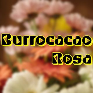 Young Signorino - Burrocacao Rosa (Radio Date: 04-10-2019)