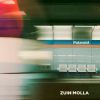 ZUIN - Polaroid (feat. Molla)