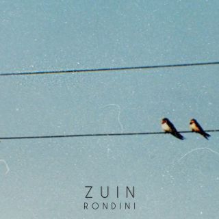 Zuin - Rondini (Radio Date: 19-06-2020)